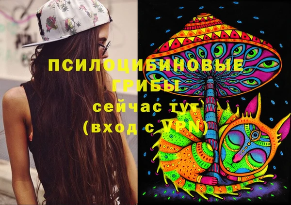 PSILOCYBIN Белоозёрский